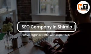 SEO Company in Shimla