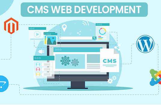 CMS web Development